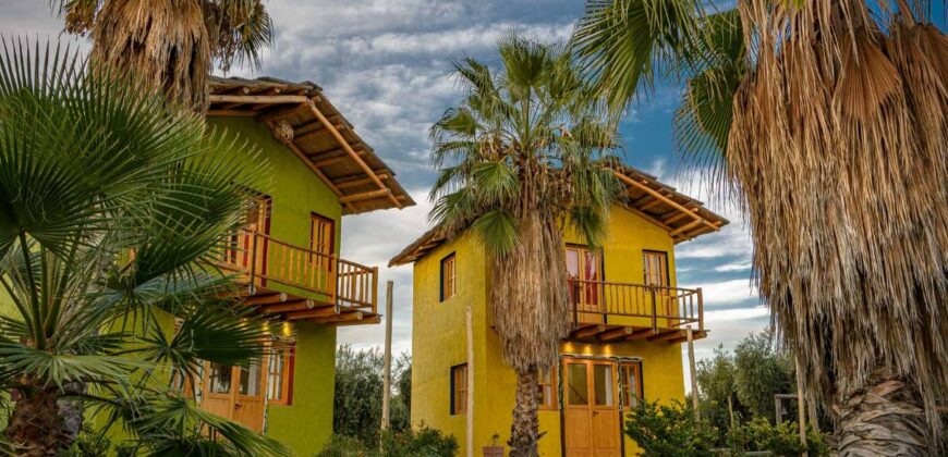 Argentina Vineyard, Orchard & Olive Grove For Sale w/ Cabanas & Home – Finca Bella Luna