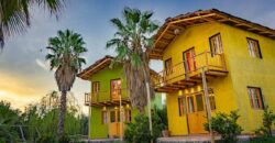 Argentina Vineyard, Orchard & Olive Grove For Sale w/ Cabanas & Home – Finca Bella Luna