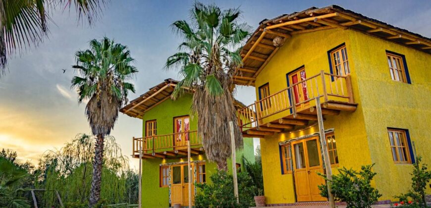 Argentina Vineyard, Orchard & Olive Grove For Sale w/ Cabanas & Home – Finca Bella Luna