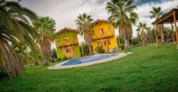 Argentina Vineyard, Orchard & Olive Grove For Sale w/ Cabanas & Home – Finca Bella Luna