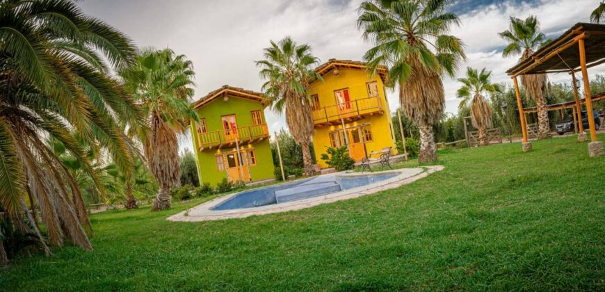 Argentina Vineyard, Orchard & Olive Grove For Sale w/ Cabanas & Home – Finca Bella Luna