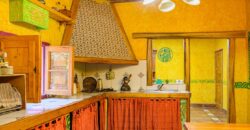 Argentina Vineyard, Orchard & Olive Grove For Sale w/ Cabanas & Home – Finca Bella Luna
