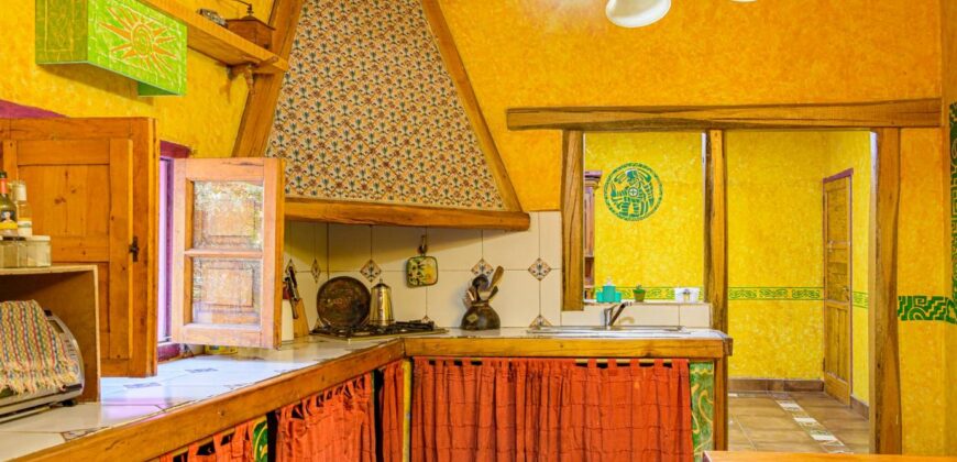 Argentina Vineyard, Orchard & Olive Grove For Sale w/ Cabanas & Home – Finca Bella Luna