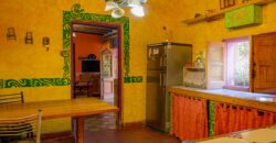 Argentina Vineyard, Orchard & Olive Grove For Sale w/ Cabanas & Home – Finca Bella Luna