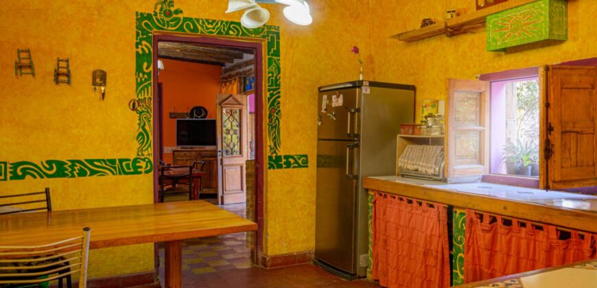 Argentina Vineyard, Orchard & Olive Grove For Sale w/ Cabanas & Home – Finca Bella Luna