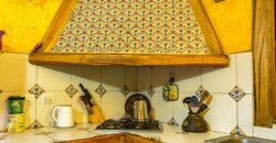 Argentina Vineyard, Orchard & Olive Grove For Sale w/ Cabanas & Home – Finca Bella Luna