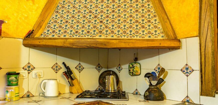 Argentina Vineyard, Orchard & Olive Grove For Sale w/ Cabanas & Home – Finca Bella Luna
