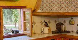 Argentina Vineyard, Orchard & Olive Grove For Sale w/ Cabanas & Home – Finca Bella Luna