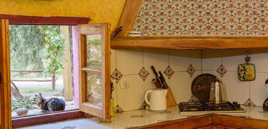 Argentina Vineyard, Orchard & Olive Grove For Sale w/ Cabanas & Home – Finca Bella Luna