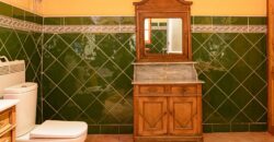 Argentina Vineyard, Orchard & Olive Grove For Sale w/ Cabanas & Home – Finca Bella Luna
