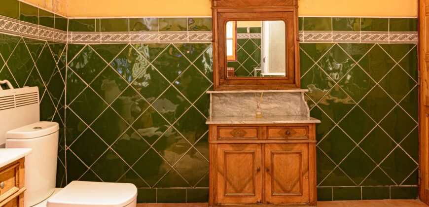 Argentina Vineyard, Orchard & Olive Grove For Sale w/ Cabanas & Home – Finca Bella Luna