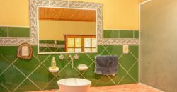 Argentina Vineyard, Orchard & Olive Grove For Sale w/ Cabanas & Home – Finca Bella Luna