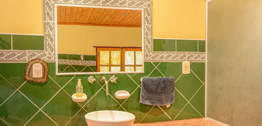 Argentina Vineyard, Orchard & Olive Grove For Sale w/ Cabanas & Home – Finca Bella Luna