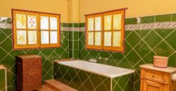 Argentina Vineyard, Orchard & Olive Grove For Sale w/ Cabanas & Home – Finca Bella Luna