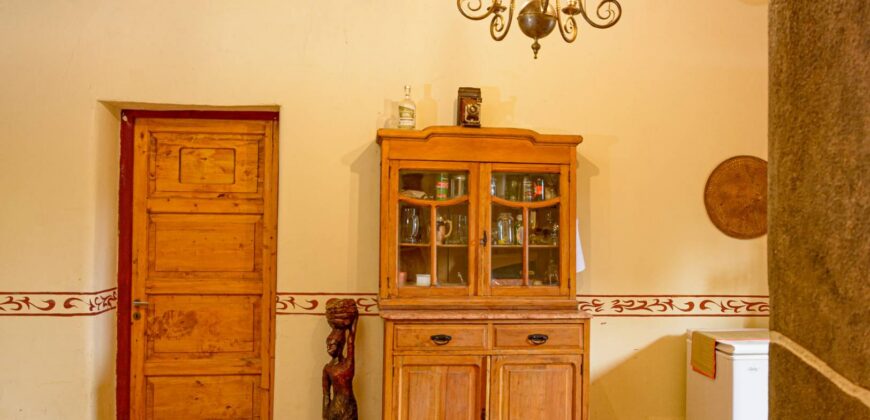 Argentina Vineyard, Orchard & Olive Grove For Sale w/ Cabanas & Home – Finca Bella Luna