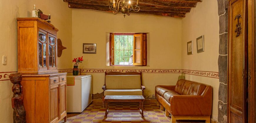 Argentina Vineyard, Orchard & Olive Grove For Sale w/ Cabanas & Home – Finca Bella Luna