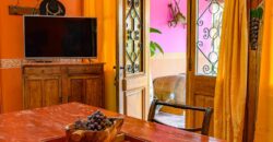 Argentina Vineyard, Orchard & Olive Grove For Sale w/ Cabanas & Home – Finca Bella Luna