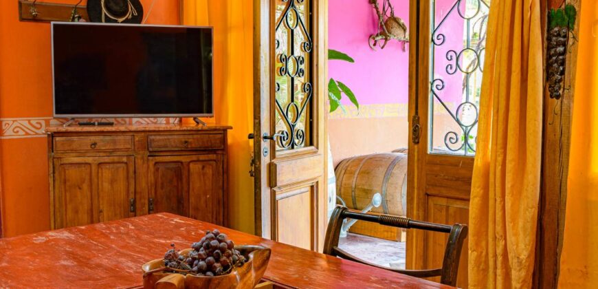 Argentina Vineyard, Orchard & Olive Grove For Sale w/ Cabanas & Home – Finca Bella Luna