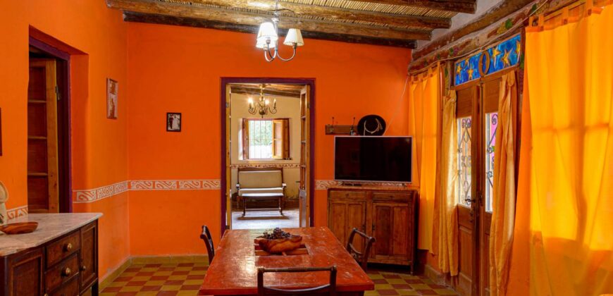 Argentina Vineyard, Orchard & Olive Grove For Sale w/ Cabanas & Home – Finca Bella Luna