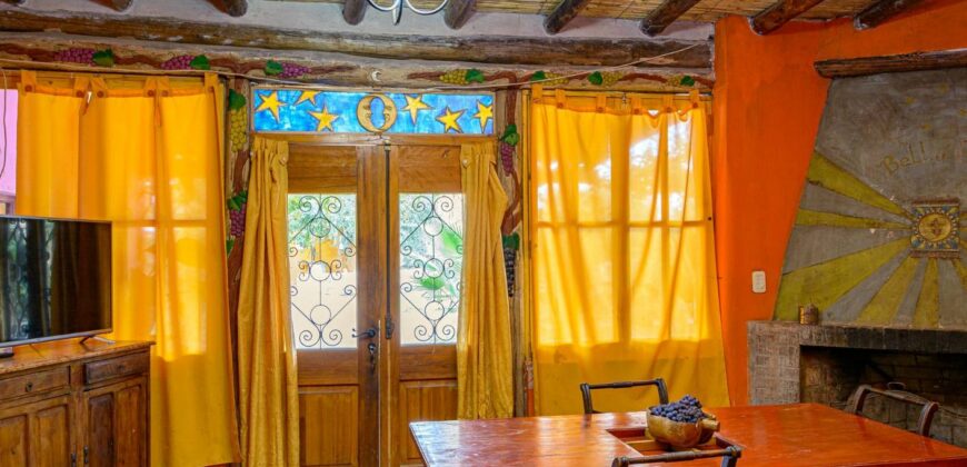 Argentina Vineyard, Orchard & Olive Grove For Sale w/ Cabanas & Home – Finca Bella Luna