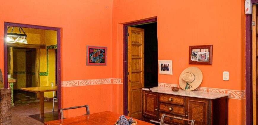 Argentina Vineyard, Orchard & Olive Grove For Sale w/ Cabanas & Home – Finca Bella Luna