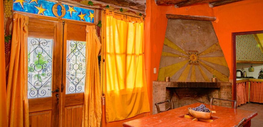Argentina Vineyard, Orchard & Olive Grove For Sale w/ Cabanas & Home – Finca Bella Luna