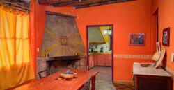 Argentina Vineyard, Orchard & Olive Grove For Sale w/ Cabanas & Home – Finca Bella Luna