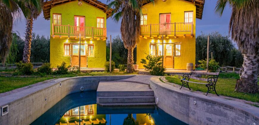 Argentina Vineyard, Orchard & Olive Grove For Sale w/ Cabanas & Home – Finca Bella Luna