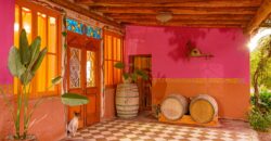 Argentina Vineyard, Orchard & Olive Grove For Sale w/ Cabanas & Home – Finca Bella Luna
