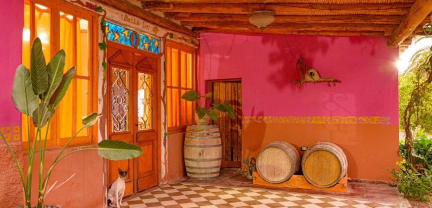 Argentina Vineyard, Orchard & Olive Grove For Sale w/ Cabanas & Home – Finca Bella Luna