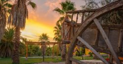 Argentina Vineyard, Orchard & Olive Grove For Sale w/ Cabanas & Home – Finca Bella Luna