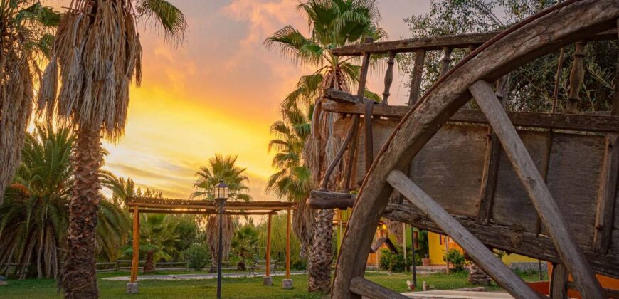 Argentina Vineyard, Orchard & Olive Grove For Sale w/ Cabanas & Home – Finca Bella Luna