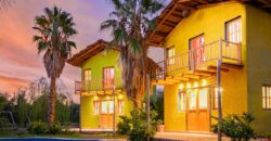 Argentina Vineyard, Orchard & Olive Grove For Sale w/ Cabanas & Home – Finca Bella Luna