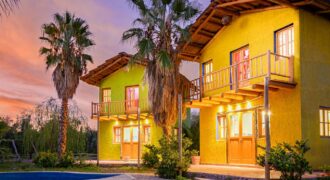 Argentina Vineyard, Orchard & Olive Grove For Sale w/ Cabanas & Home – Finca Bella Luna