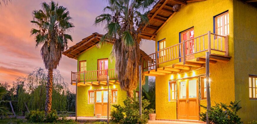 Argentina Vineyard, Orchard & Olive Grove For Sale w/ Cabanas & Home – Finca Bella Luna
