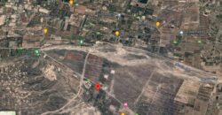 Argentina Vineyard, Orchard & Olive Grove For Sale w/ Cabanas & Home – Finca Bella Luna