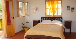 Argentina Vineyard, Orchard & Olive Grove For Sale w/ Cabanas & Home – Finca Bella Luna