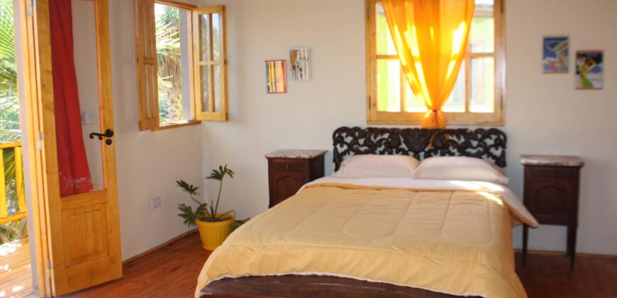 Argentina Vineyard, Orchard & Olive Grove For Sale w/ Cabanas & Home – Finca Bella Luna