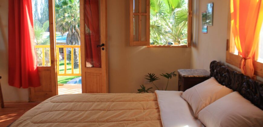 Argentina Vineyard, Orchard & Olive Grove For Sale w/ Cabanas & Home – Finca Bella Luna