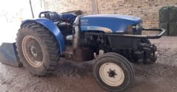 Argentina Vineyard, Orchard & Olive Grove For Sale w/ Cabanas & Home – Finca Bella Luna