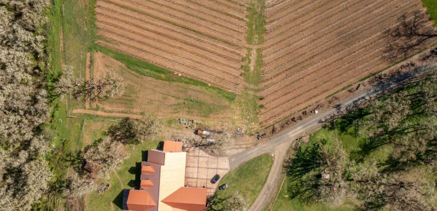 Umpqua Valley Equestrian Vineyard With Expansion Potential