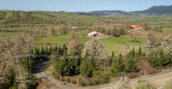 Umpqua Valley Equestrian Vineyard With Expansion Potential