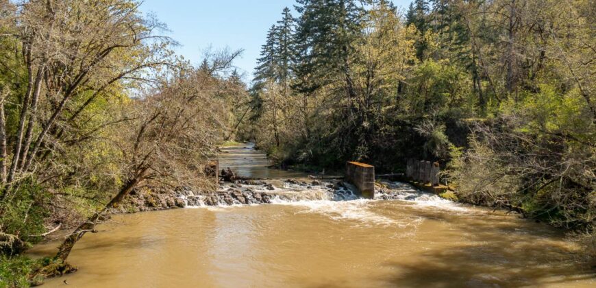 Umpqua Valley Equestrian Vineyard With Expansion Potential