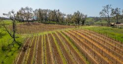 Umpqua Valley Equestrian Vineyard With Expansion Potential