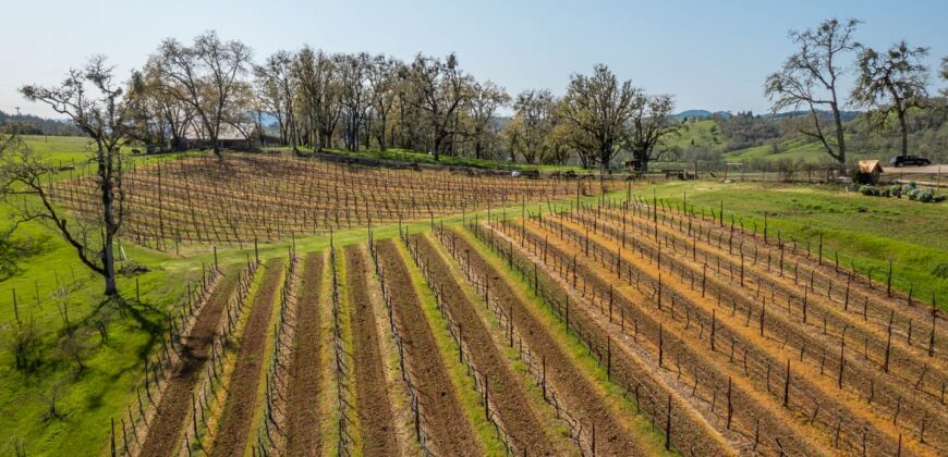 Umpqua Valley Equestrian Vineyard With Expansion Potential