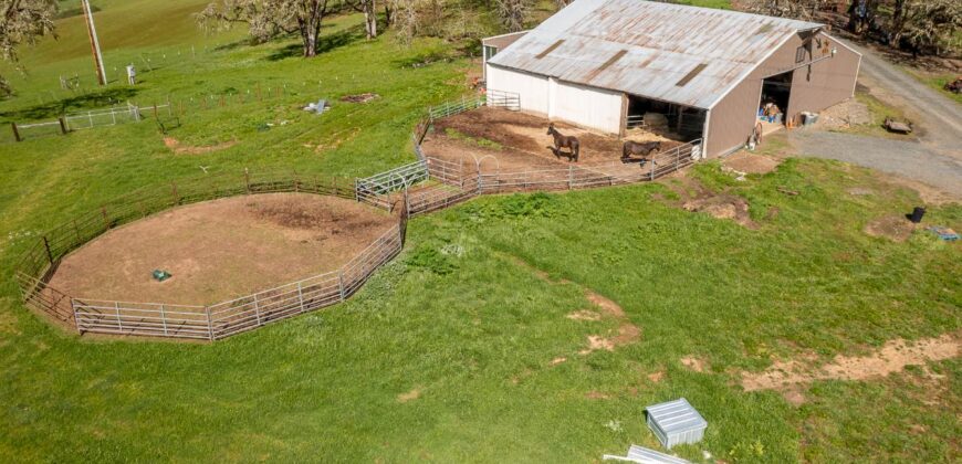 Umpqua Valley Equestrian Vineyard With Expansion Potential