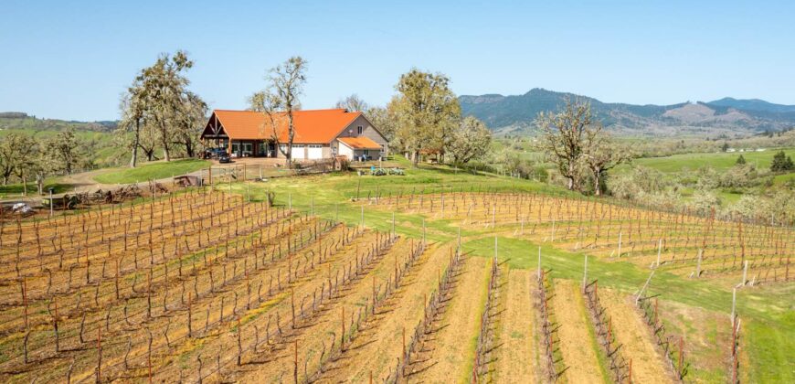 Umpqua Valley Equestrian Vineyard With Expansion Potential