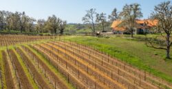 Umpqua Valley Equestrian Vineyard With Expansion Potential