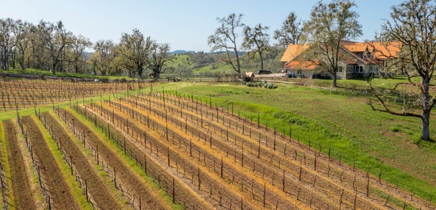 Umpqua Valley Equestrian Vineyard With Expansion Potential