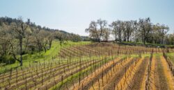 Umpqua Valley Equestrian Vineyard With Expansion Potential